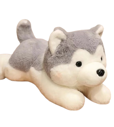 plush husky puppy