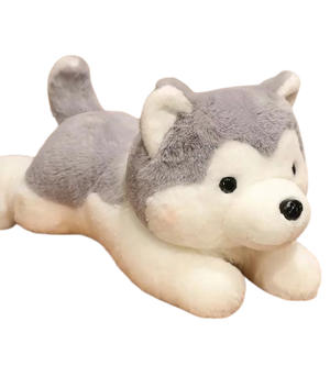 plush husky puppy