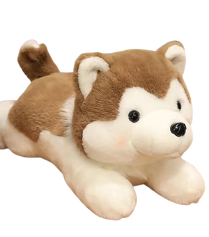 plush husky puppy