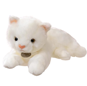plush western persian cat