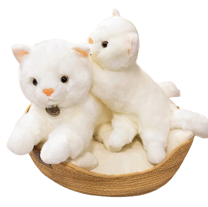 plush western persian cat