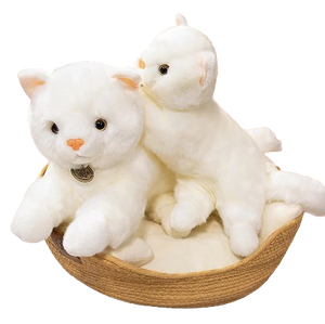 plush western persian cat