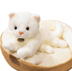 plush western persian cat