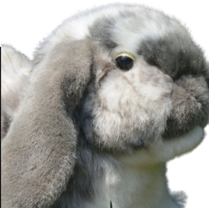 soft plush lop-eared bunny