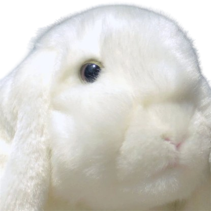 soft plush lop-eared bunny