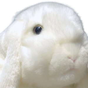 soft plush lop-eared bunny