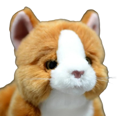 soft plush ginger cat