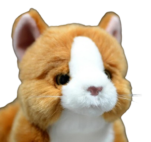 soft plush ginger cat