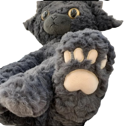 soft plush black cat