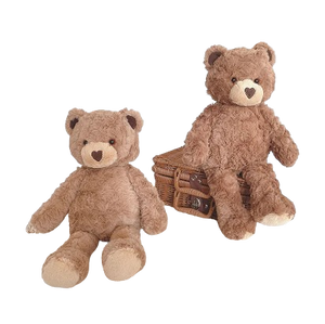 beautiful teddy bear