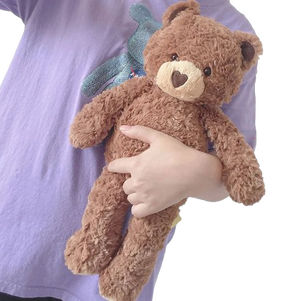 beautiful teddy bear