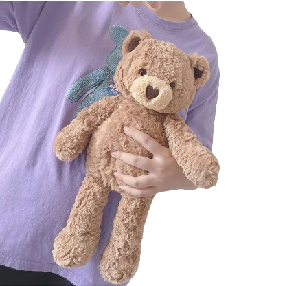 beautiful teddy bear