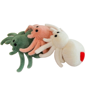plush jumping spider